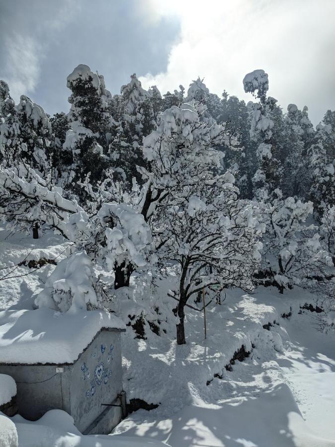 Namastay Himalayas, Kanatal Eksteriør bilde