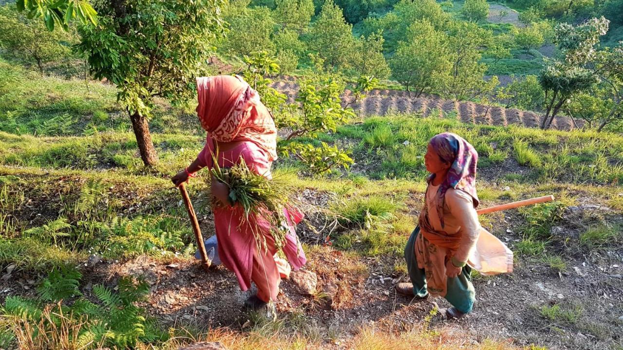 Namastay Himalayas, Kanatal Eksteriør bilde