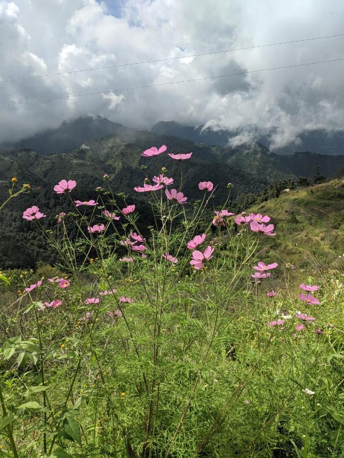 Namastay Himalayas, Kanatal Eksteriør bilde
