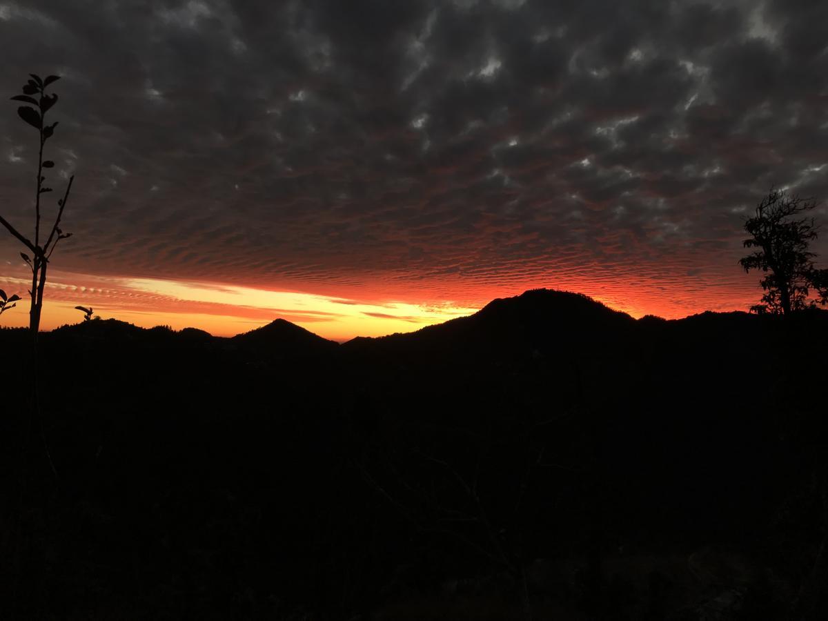 Namastay Himalayas, Kanatal Eksteriør bilde