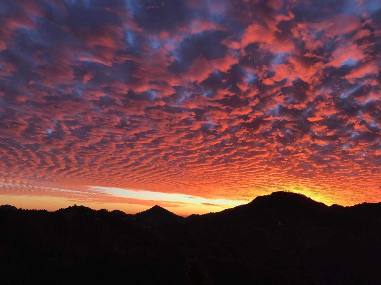Namastay Himalayas, Kanatal Eksteriør bilde